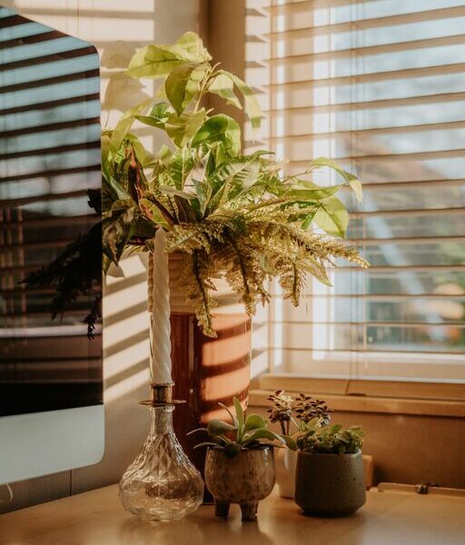 Tips for Creating a Cozy and Productive Home Office Space