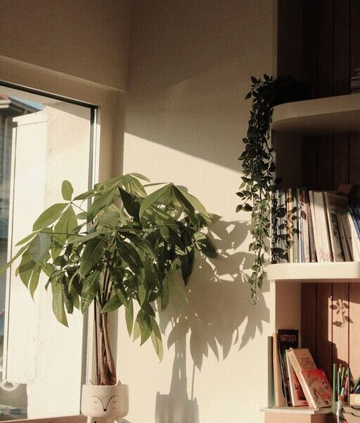 How to Create a Cozy Reading Nook in Your Home