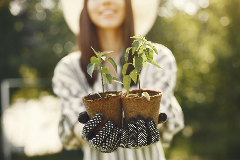 Tips for Creating a Beautiful and Functional Home Garden Year-Round